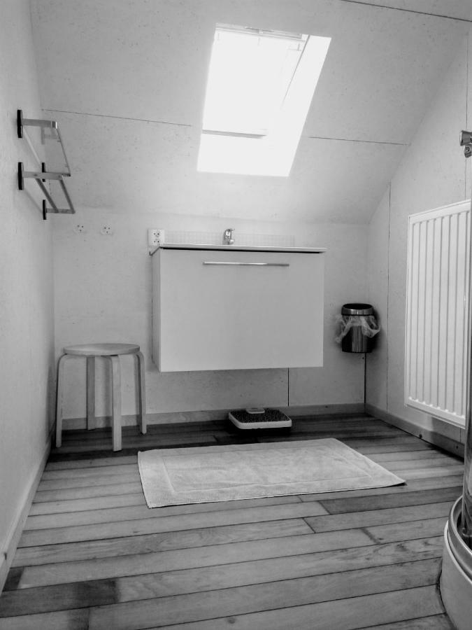 Willa Studio Flandrien Oudenaarde Zewnętrze zdjęcie